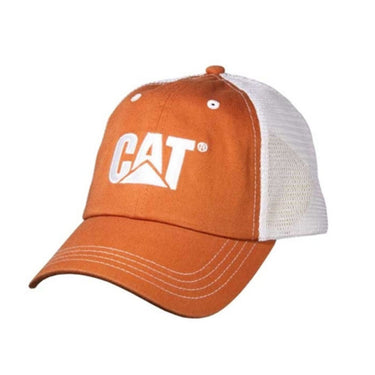 CT2482 Cat Golden Cap